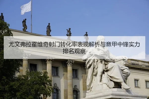 尤文弗拉霍维奇射门转化率表现解析与意甲中锋实力排名观察