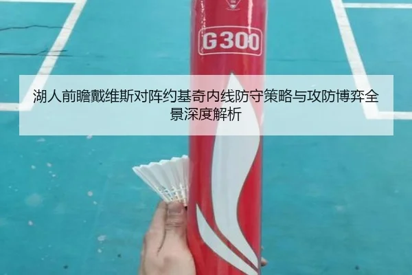 湖人前瞻戴维斯对阵约基奇内线防守策略与攻防博弈全景深度解析